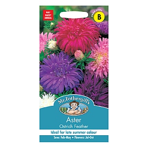 Mr Fothergills Aster Ostrich Feather Seeds