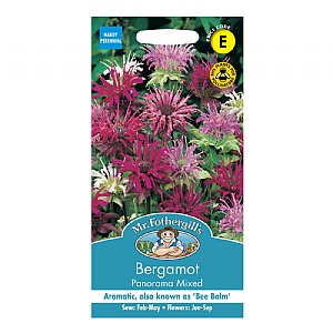 Mr Fothergills Bergamot Panorama Mixed Seeds