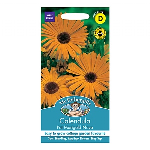 Mr Fothergills Calendula Pot Marigold Nova Seeds