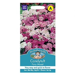 Mr Fothergills Candytuft Fairy Mixed Seeds