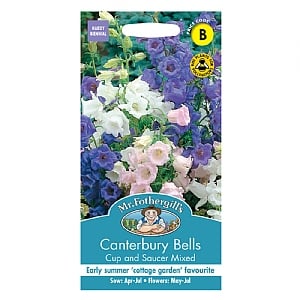 Mr Fothergills Canterbury Bells Cup & Saucer Mixed Seeds