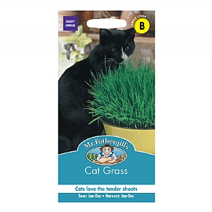 Mr Fothergills Cat Grass Avena Sativa Seeds