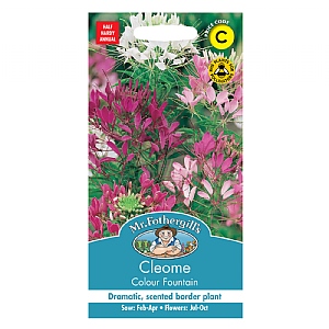 Mr Fothergills Cleome Colour Fountain Seeds