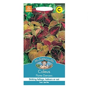 Mr Fothergills Coleus Flame Dancers Seeds