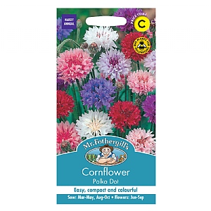 Mr Fothergills Cornflower Polka Dot Seeds