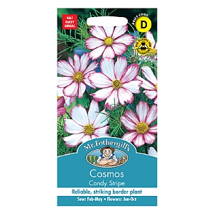 Mr Fothergills Cosmos Candy Stripe Seeds