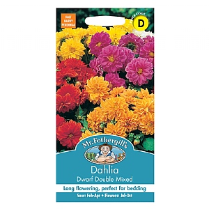 Mr Fothergills Dahlia Dwarf Double Mixed Seeds