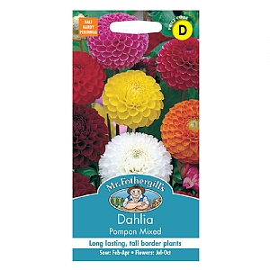 Mr Fothergills Dahlia Pompon Mixed Seeds