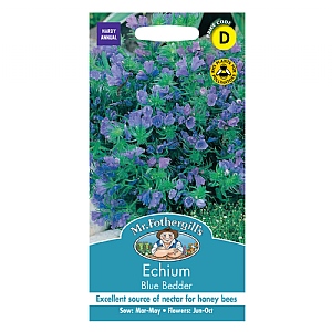 Mr Fothergills Echium Blue Bedder Seeds