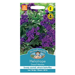 Mr Fothergills Heliotrope Dwarf Marine Seeds