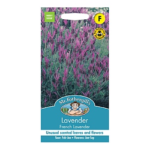 Mr Fothergills Lavender French Lavender Seeds