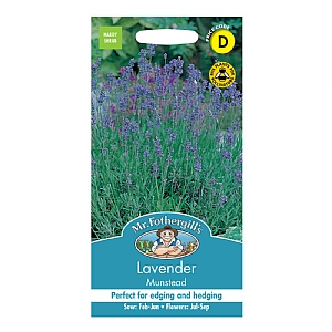 Mr Fothergills Lavender Munstead Seeds