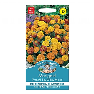 Mr Fothergills Marigold (French) Boy-o-boy Mixed Seeds