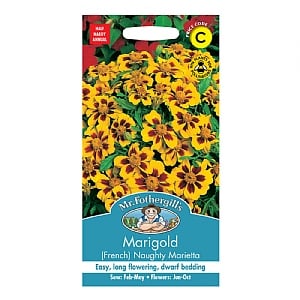 Mr Fothergills Marigold (French) Naughty Marietta Seeds