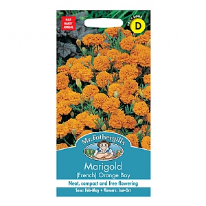 Mr Fothergills Marigold (French) Orange Boy Seeds