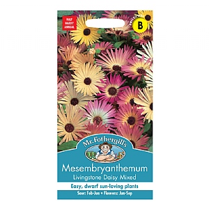 Mr Fothergills Mesembryanthemum Livingstone Daisy Mixed Seeds