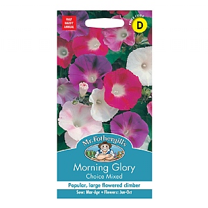 Mr Fothergills Morning Glory Choice Mixed Seeds