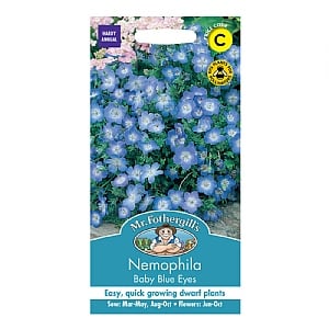 Mr Fothergills Nemophila Baby Blue Eyes Seeds