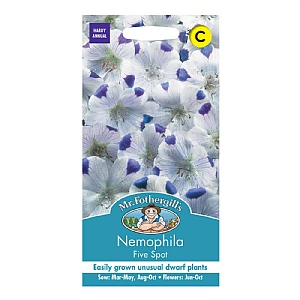 Mr Fothergills Nemophila Five Spot Seeds