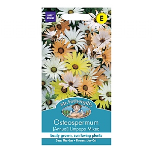 Mr Fothergills Osteospermum (Annual) Limpopo Seeds