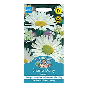 Mr Fothergills Shasta Daisy Alaska Seeds