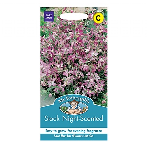 Mr Fothergills Stock Night Scented Seeds
