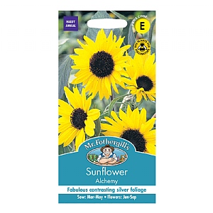 Mr Fothergills Sunflower Alchemy Seeds