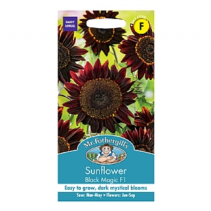 Mr Fothergills Sunflower Black Magic F1 Seeds