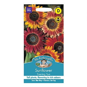 Mr Fothergills Sunflower Evening Sun Seeds