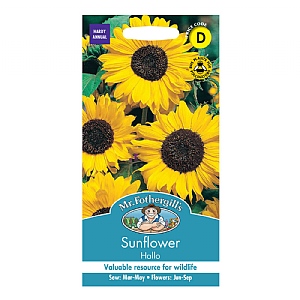 Mr Fothergills Sunflower Hallo Seeds