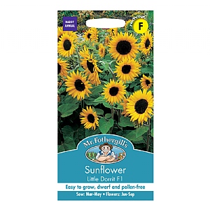 Mr Fothergills Sunflower Little Dorrit F1 Seeds