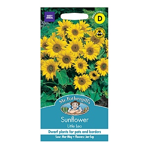 Mr Fothergills Sunflower Little Leo Seeds