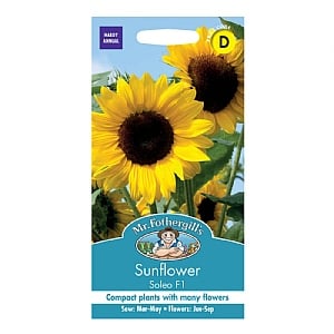 Mr Fothergills Sunflower Soleo F1 Seeds