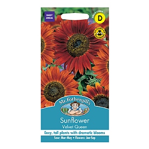 Mr Fothergills Sunflower Velvet Queen Seeds