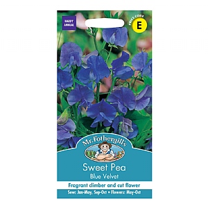 Mr Fothergills Sweet Pea Blue Velvet Seeds