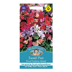 Mr Fothergills Sweet Pea Dwarf Explorer Mixed Seeds