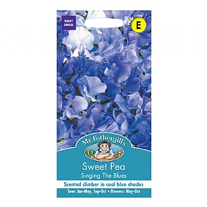 Mr Fothergills Sweet Pea Singing The Blues Seeds