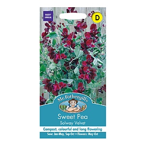 Mr Fothergills Sweet Pea Solway Velvet Seeds