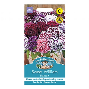 Mr Fothergills Sweet William Electron Seeds