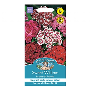 Mr Fothergills Sweet William Monarch Mixed Seeds