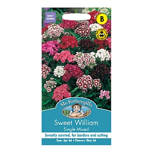 Mr Fothergills Sweet William Single Mixed Seeds