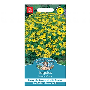 Mr Fothergills Tagetes Lemon Gem Seeds