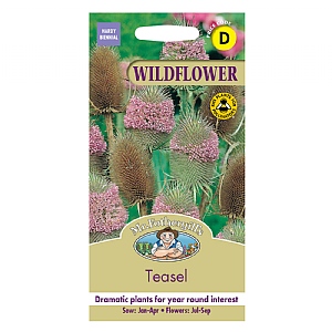 Mr Fothergills Wild Flower Teasel Seeds