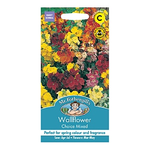 Mr Fothergills Wallflower Choice Mixed Seeds