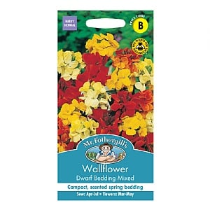 Mr Fothergills Wallflower Dwarf Bedding Mixed Seeds