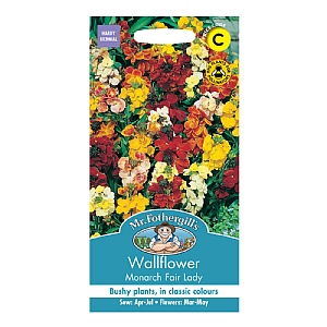 Mr Fothergills Wallflower Monarch Fair Lady Seeds