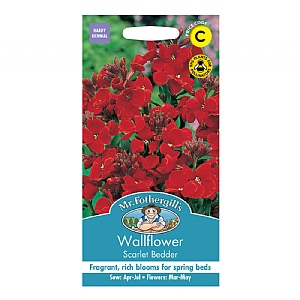 Mr Fothergills Wallflower Scarlet Bedder Seeds