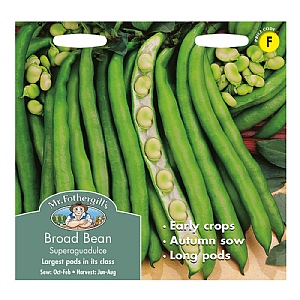 Mr Fothergills Broad Bean Superaguadulce Seeds