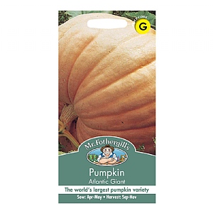 Mr Fothergills Pumpkin Atlantic Giant Seeds