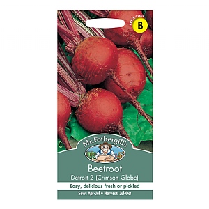 Mr Fothergills Beetroot Detroit 2 (Crimson Globe) Seeds